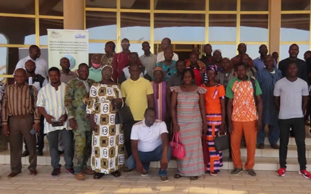 WORKSHOP REVIEW OF THE 2020-2021 CAMPAIGN AND PROGRAMMING OF THE 2021-2022 CAMPAIGN / Bobo-Dioulasso from April 30 to May 01, 2021